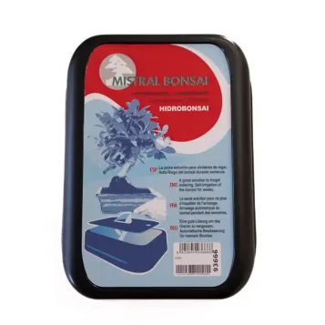 Compra Hidrobonsai Sistema de Reg a Barcelona | Plantes