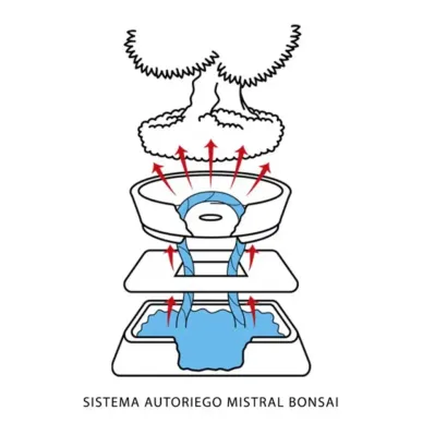Comprar Hidrobonsai Sistema de Riego en Barcelona | Plantas 2