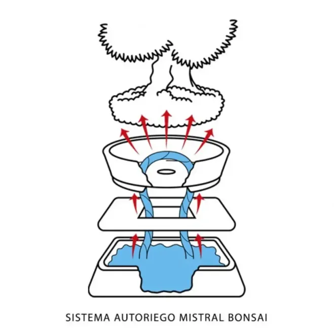 Comprar Hidrobonsai Sistema de Riego en Barcelona | Plantas