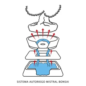 Compra Hidrobonsai Sistema de Reg a Barcelona | Plantes