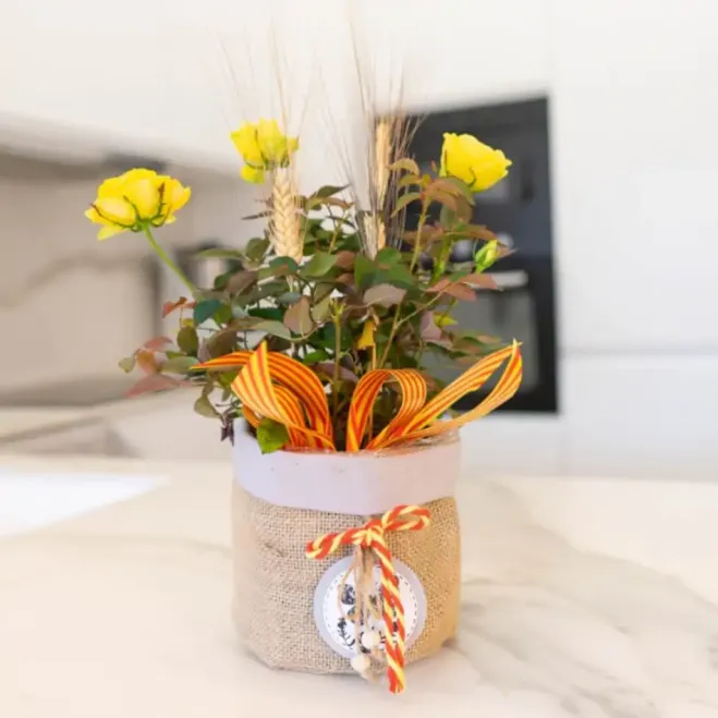 Comprar Planta Mini Rosal en Barcelona | Rosas Sant Jordi