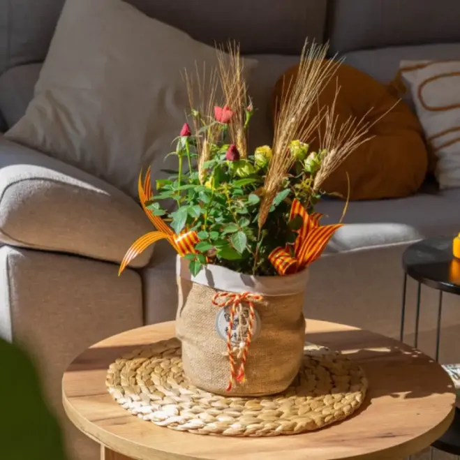 Comprar Planta Mini Rosal en Barcelona | Rosas Sant Jordi