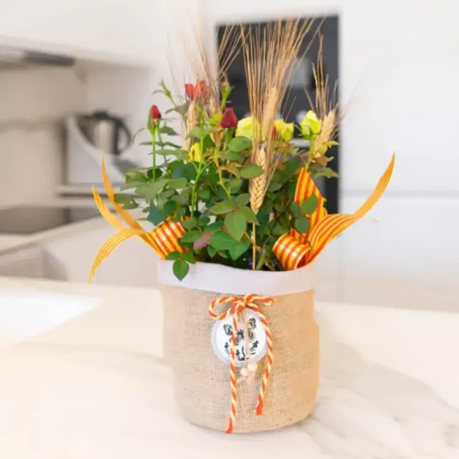 Compra Planta Mini Roser a Barcelona | Roses Sant Jordi