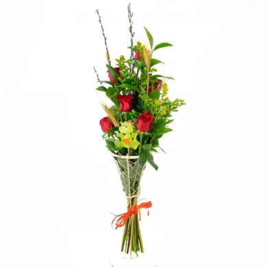 Comprar Cono de 6 Rosas Rojas en Barcelona | Rosas Sant Jordi 2