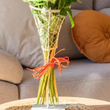 Comprar Cono de 6 Rosas Rojas en Barcelona | Rosas Sant Jordi