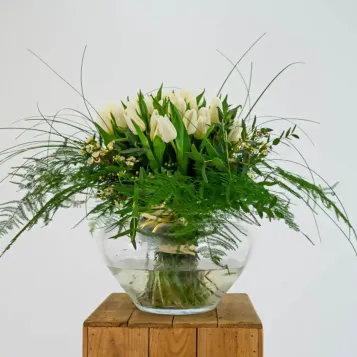 compra 51 Tulipans en Base de Vidre a Barcelona | Flors