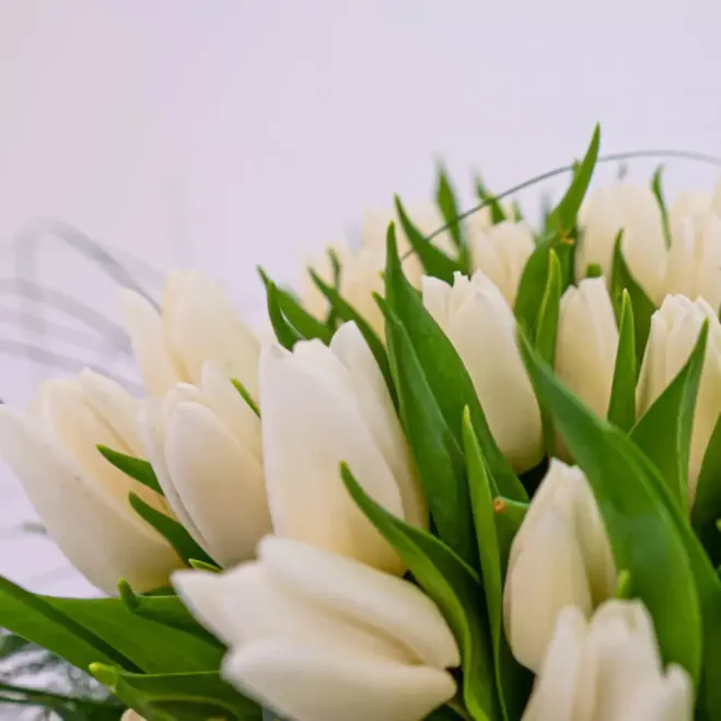 Comprar 51 Tulipanes en Base de Cristal en Barcelona | Flores