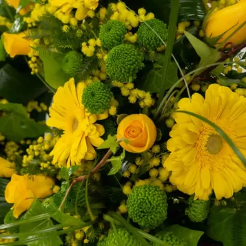 Compra Corona de Mimos i Roses a Barcelona | Flors per a Funeral