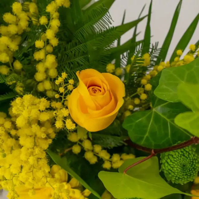 Compra Corona de Mimos i Roses a Barcelona | Flors per a Funeral
