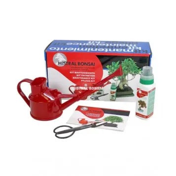 Comprar kit iniciación Bonsaís Barcelona |Flores Navarro