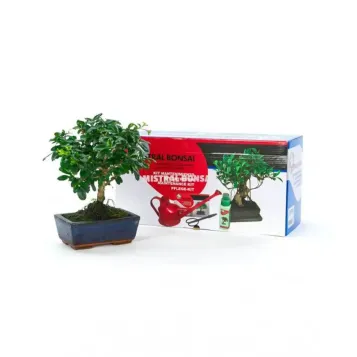 Comprar kit iniciación Bonsaís Barcelona |Flores Navarro