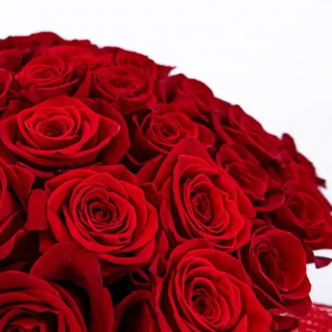 Comprar Bouquet 101 Rosas en Barcelona | Flores