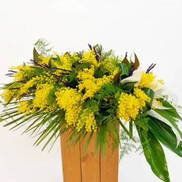 Cojín de mimosa | Entrega en Tanatorio