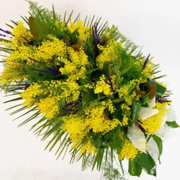 Coixí de mimosa | Entrega a Tanatori