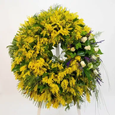 Corona de mimosa | Entrega urgent