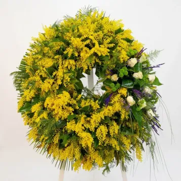 Corona de mimosa | Entrega urgente