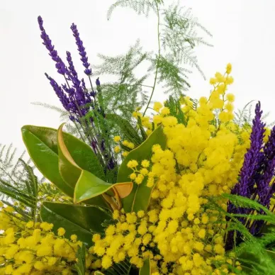 Ramo de mimosa,lavanda y magnolia | Flores Navarro 2