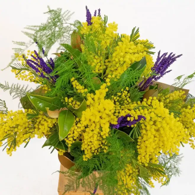 Ram de mimosa, lavanda i magnòlia | Flors Navarro