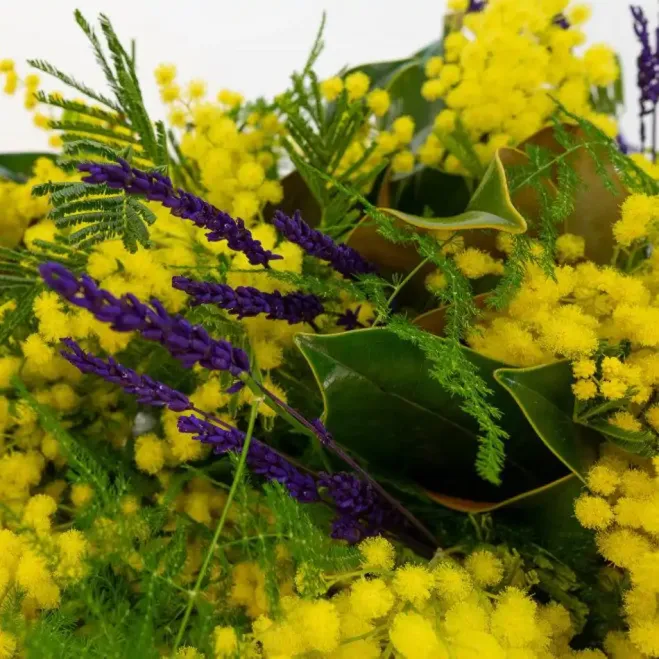 Ram de mimosa, lavanda i magnòlia | Flors Navarro