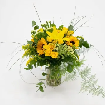 Compra Minigerro Silvestre Tons Grocs a Barcelona | Flors