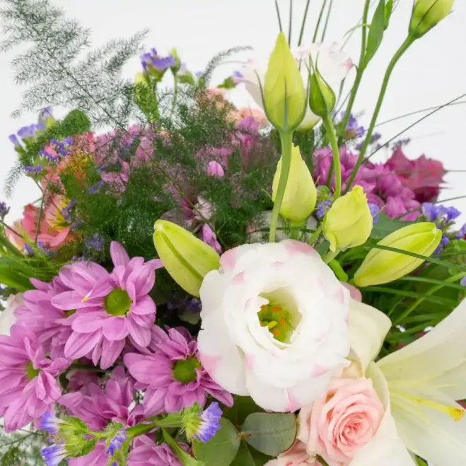 Comprar Minigerro silvestre tons roses a Barcelona | Flors Navarro