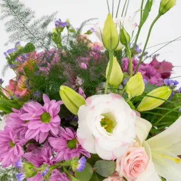 Comprar Minigerro silvestre tons roses a Barcelona | Flors Navarro