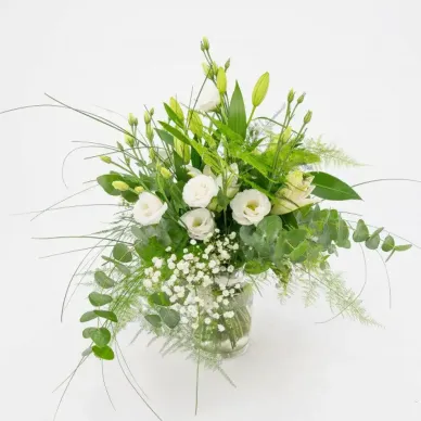 Comprar Minigerro silvestre tons blancs a Barcelona | Flors Navarro