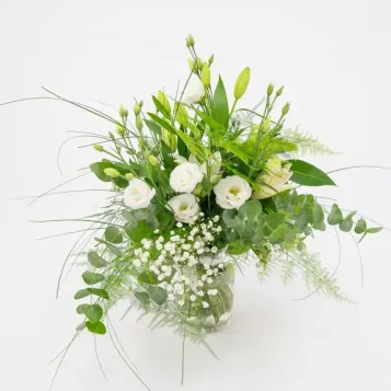 Comprar Minigerro silvestre tons blancs a Barcelona | Flors Navarro