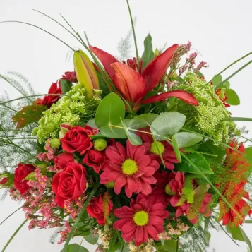 Comprar Minigerro silvestre tons vermells a Barcelona | Flors Navarro