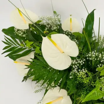 Ram e condolències per a tanatoris, enviaments urgents