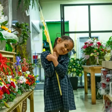 Comprar Punta adorn a Barcelona | PALMES I PALMONS