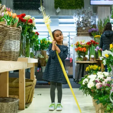 Comprar Mónago adorno en Barcelona | PALMAS Y PALMONES