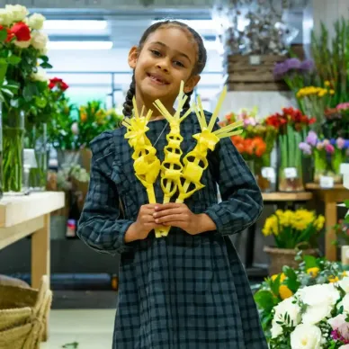 Comprar Palma llorer a Barcelona | PALMES I PALMONS