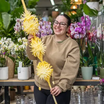 Comprar Palma 3 pisos en Barcelona | PALMAS Y PALMONES