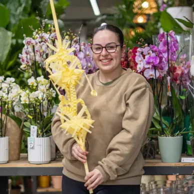 Comprar Palma 2 pisos en Barcelona | PALMAS Y PALMONES