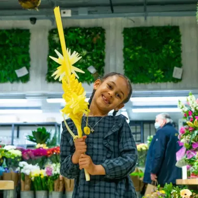 Comprar Palma 1 pis a Barcelona | PALMES I PALMONS