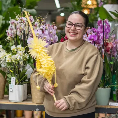 Comprar Lis en Barcelona | PALMAS Y PALMONES