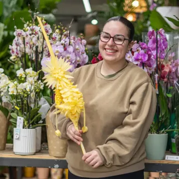 Comprar Lis en Barcelona | PALMAS Y PALMONES