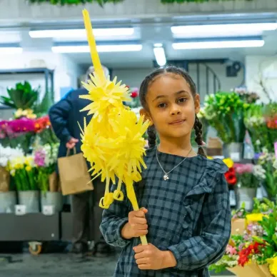 Comprar Aurora en Barcelona | PALMAS Y PALMONES