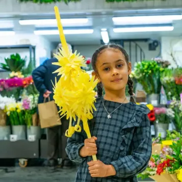 Comprar Aurora a Barcelona | PALMES I PALMONS