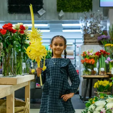 Comprar Boreal en Barcelona | PALMAS Y PALMONES