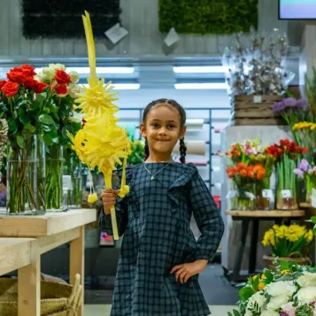 Comprar Boreal a Barcelona | PALMES I PALMONS