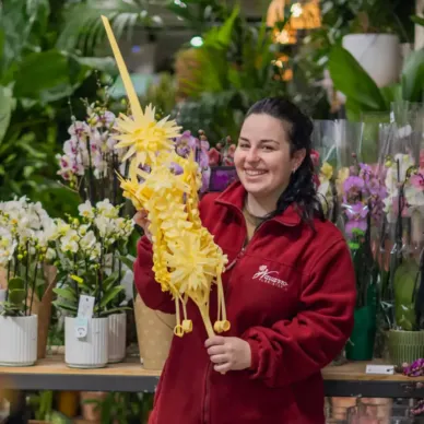 Comprar Reial a Barcelona | PALMES I PALMONS