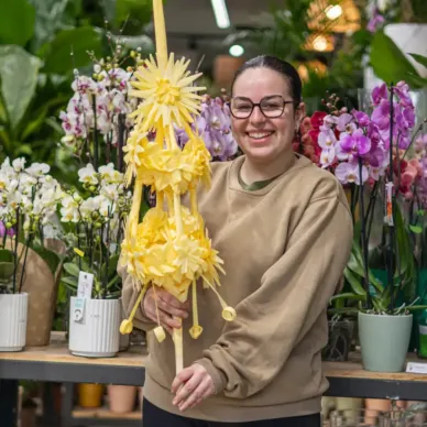 Comprar Il·lustre a Barcelona | PALMES I PALMONS