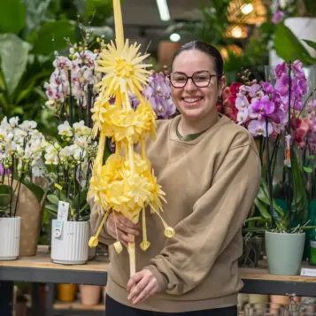 Comprar Il·lustre a Barcelona | PALMES I PALMONS