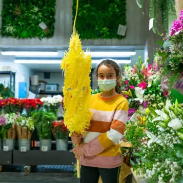 Comprar Imperial superior a Barcelona | PALMES I PALMONS