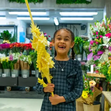 Comprar 2 pisos creuat a Barcelona | PALMES I PALMONS