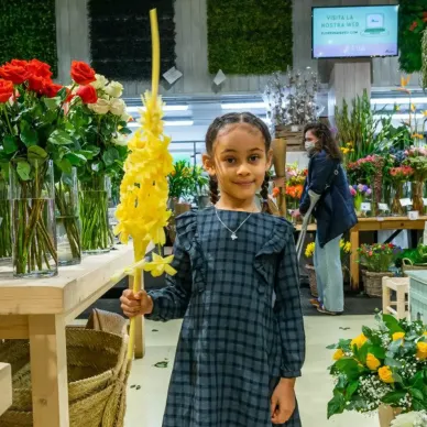 Comprar 2 pisos Mpleita en Barcelona | PALMAS Y PALMONES