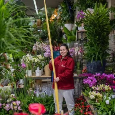 Comprar Princesa en Barcelona | PALMAS Y PALMONES