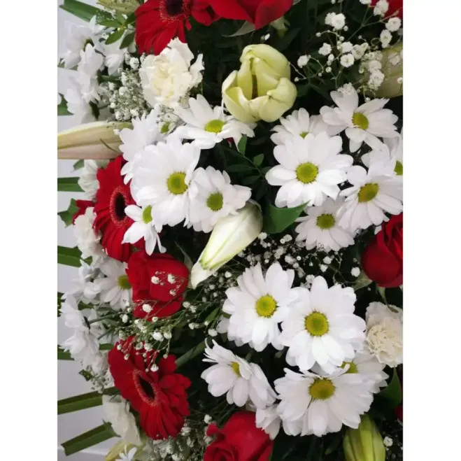 Comprar Corona Anemona en tons blancs i vermells a Barcelona | Corones